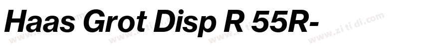 Haas Grot Disp R 55R字体转换 Haas Grot Disp R 55R字体转换